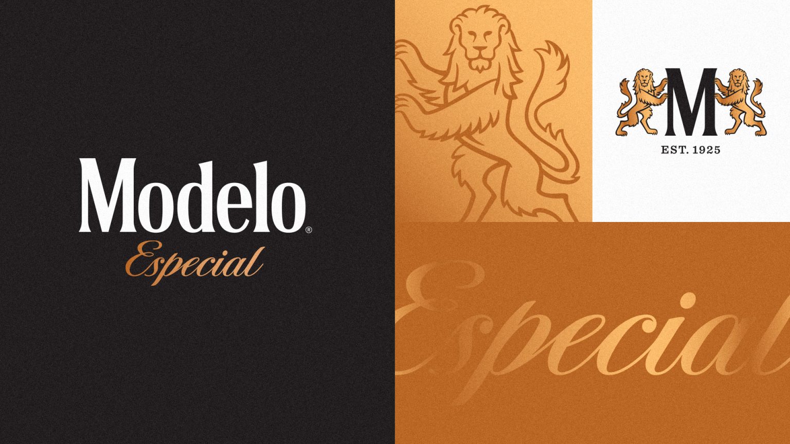 marca-cerveja-modelo