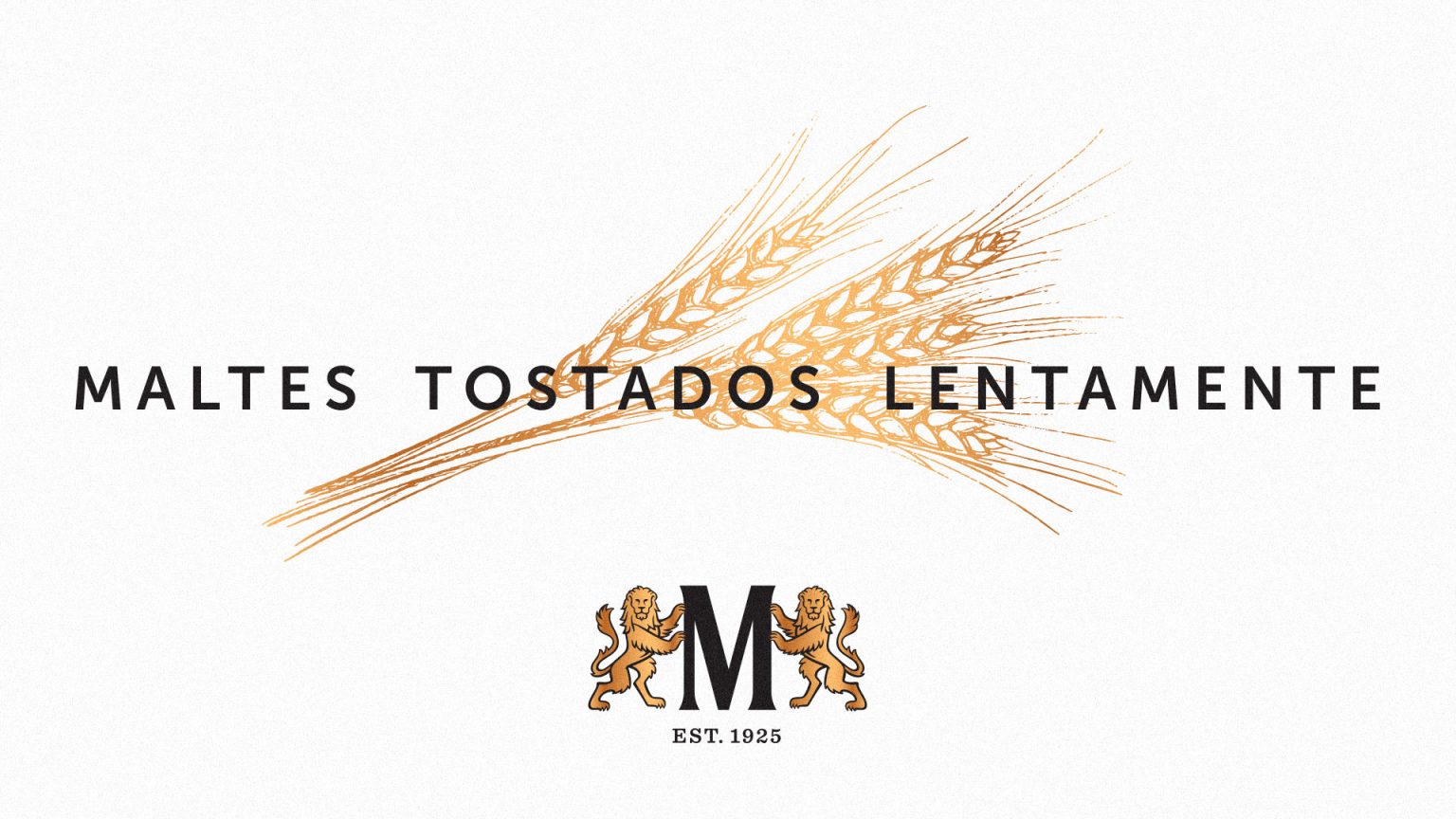 marca-cerveja-modelo